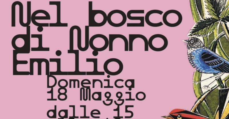 NEL BOSCO DI NONNO EMILIO